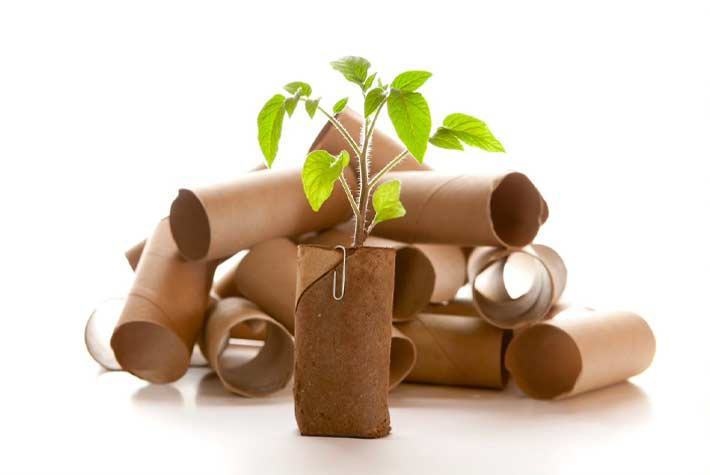 seedling-pots-tile.jpg