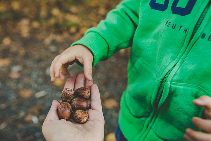 Little Seedlings October