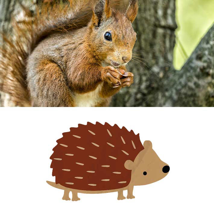 Little Seedlings October