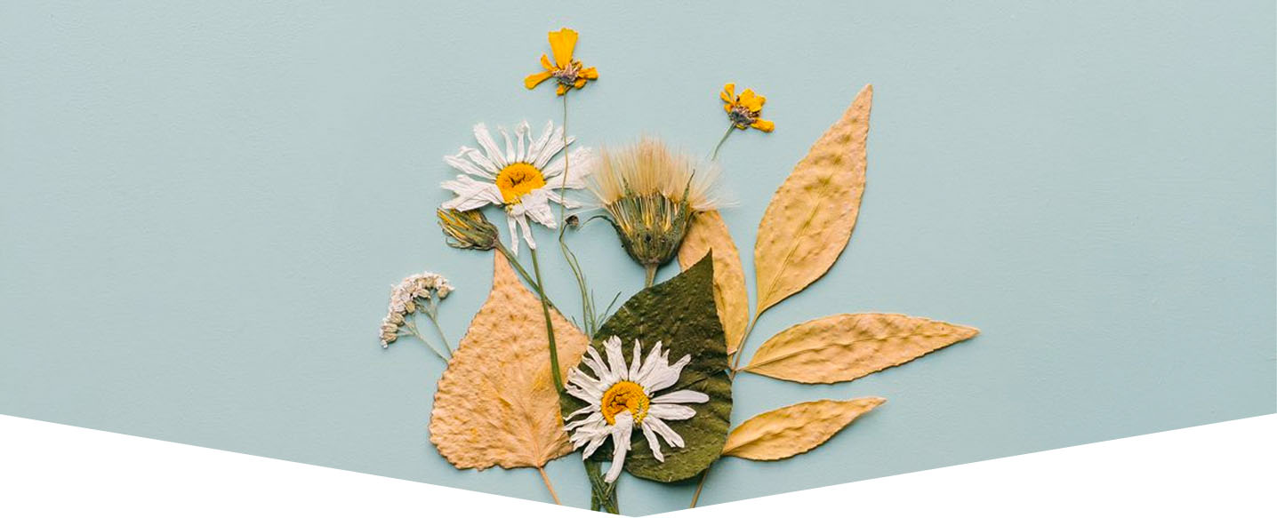 pressed-flowers-header.jpg