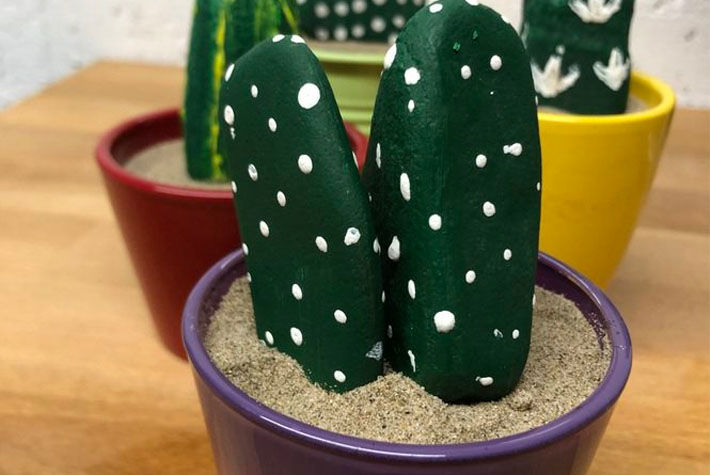 cactus activity