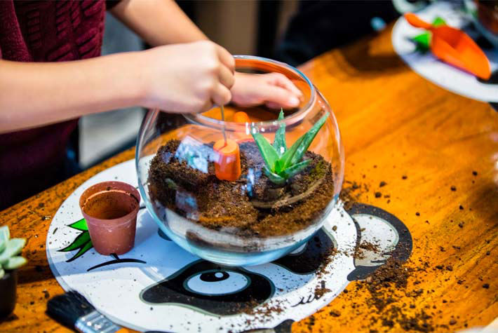 terrarium activities
