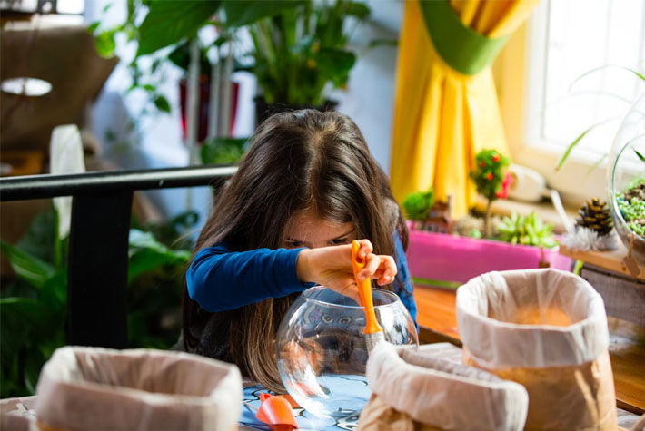 terrarium activities