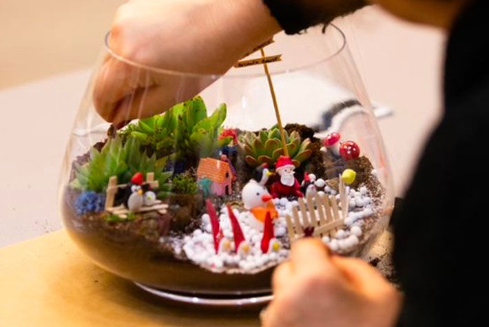 terrarium activities