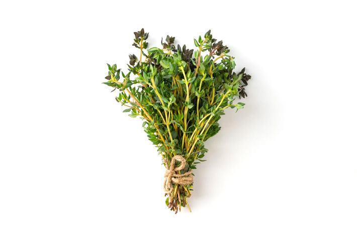 kitchen grown plants