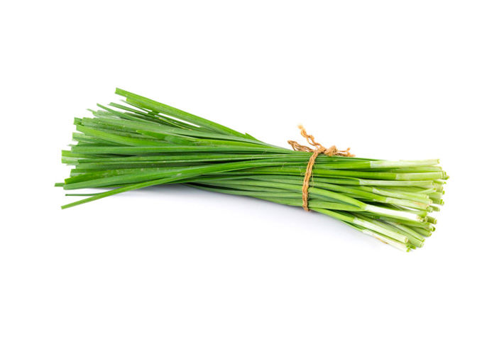 kitchen grown plants