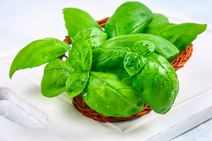 tomato and basil spaghetti