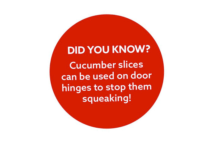 kitchen grown plants