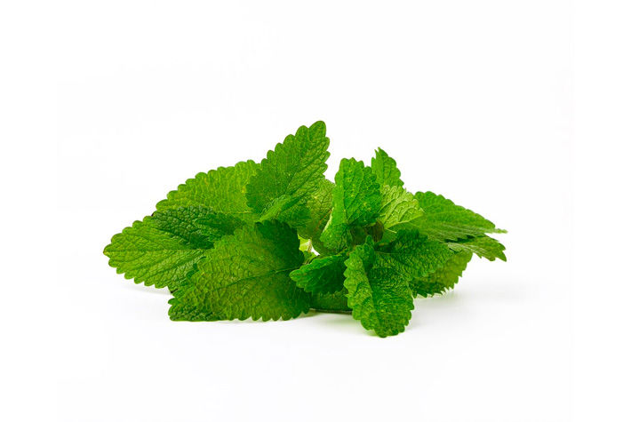 kitchen grown plants