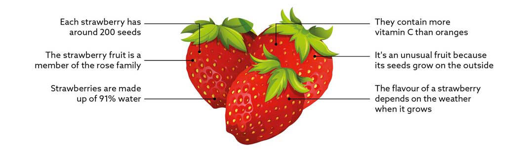 475-strawberries-facts.jpg