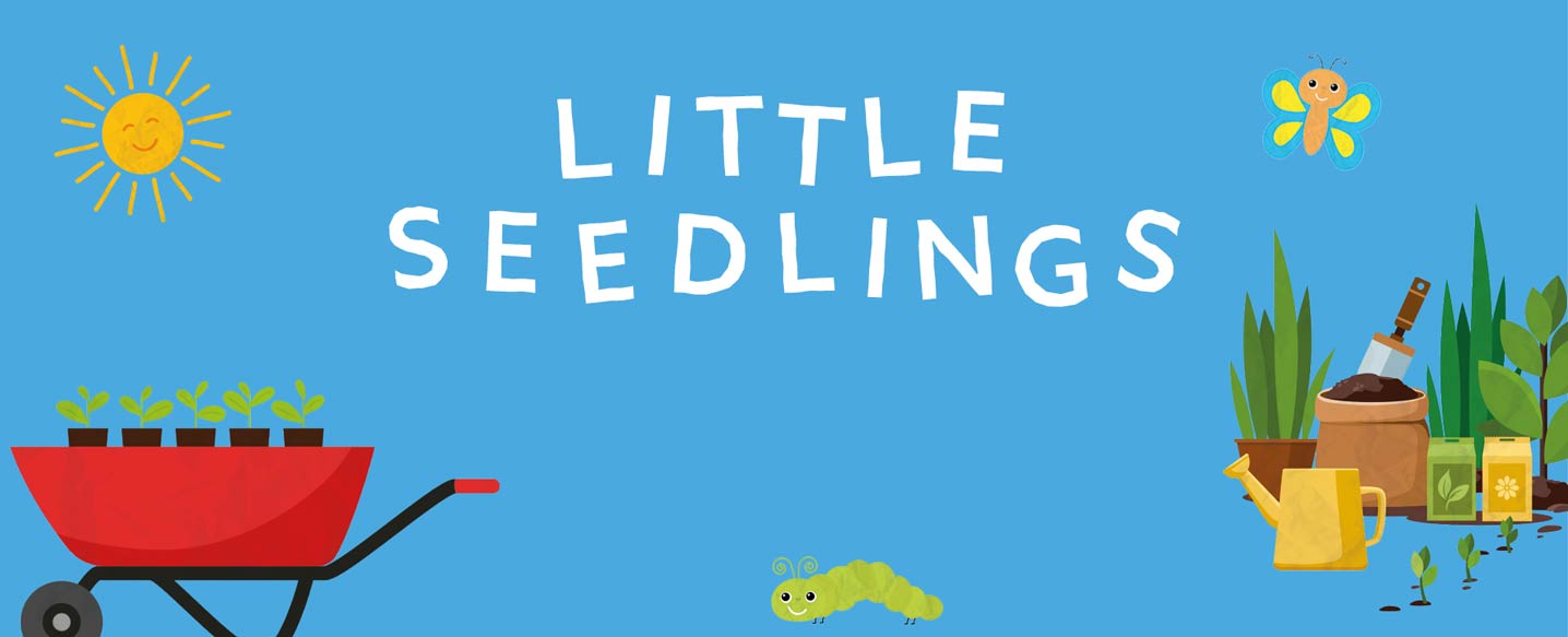 little-seedlings-childrens-activities-2-header.jpg