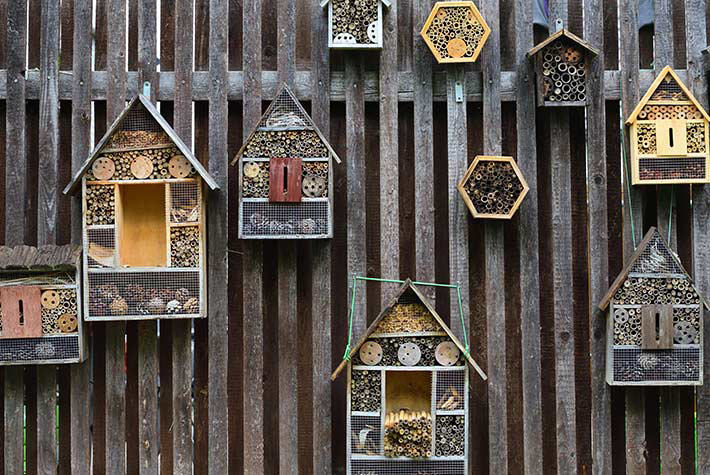 Bug hotel