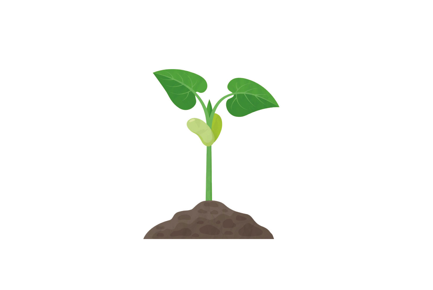 LSC_12386 Little Seedlings Banner and Panel_May_710x475pxx_v2.jpg