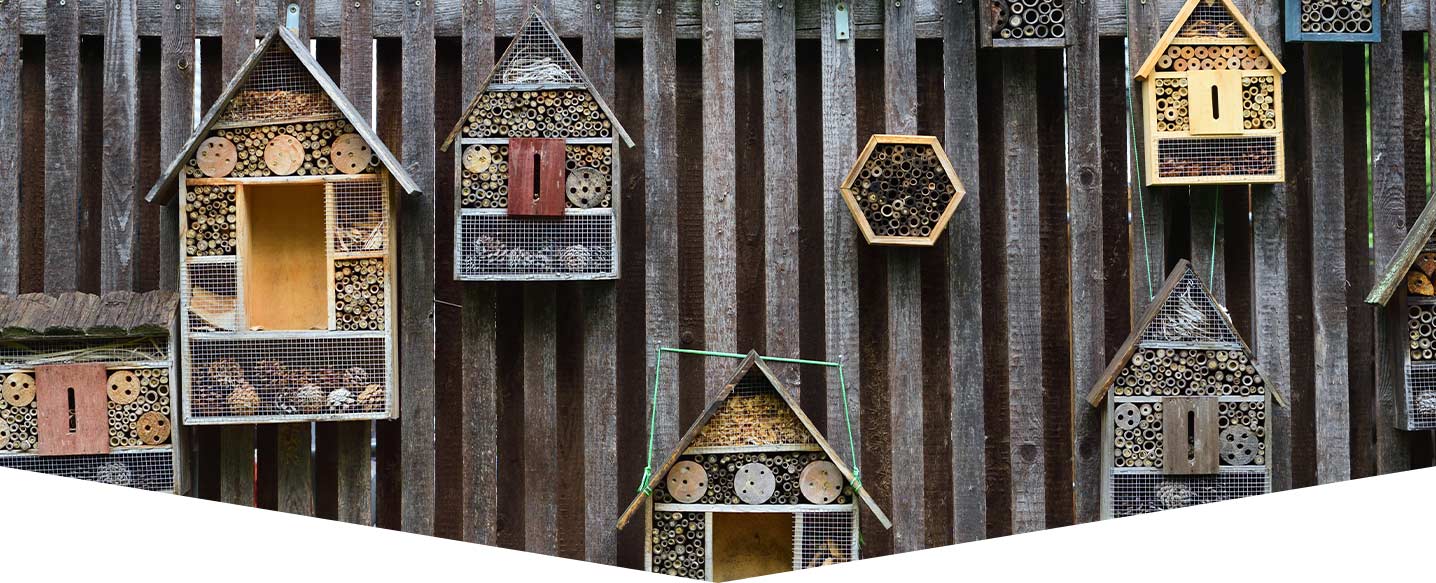 Bug hotel