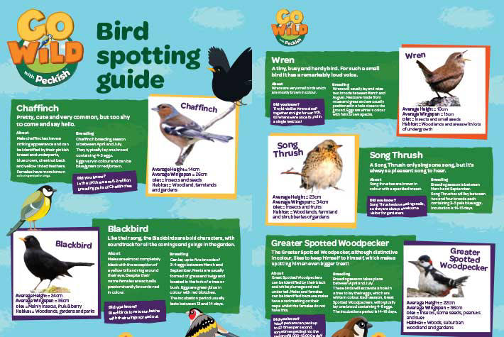 bird-spotting-guide.jpg