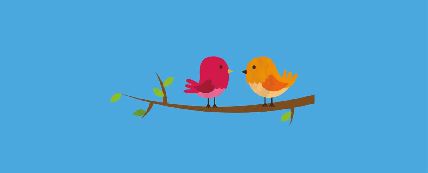 LS-wiild-birds-banner-1440x583.jpg
