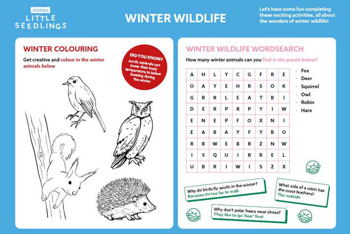 Winter-wildlife-activities.jpg