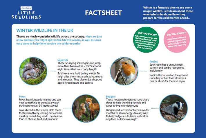 Winter-wildlife-factsheet.jpg