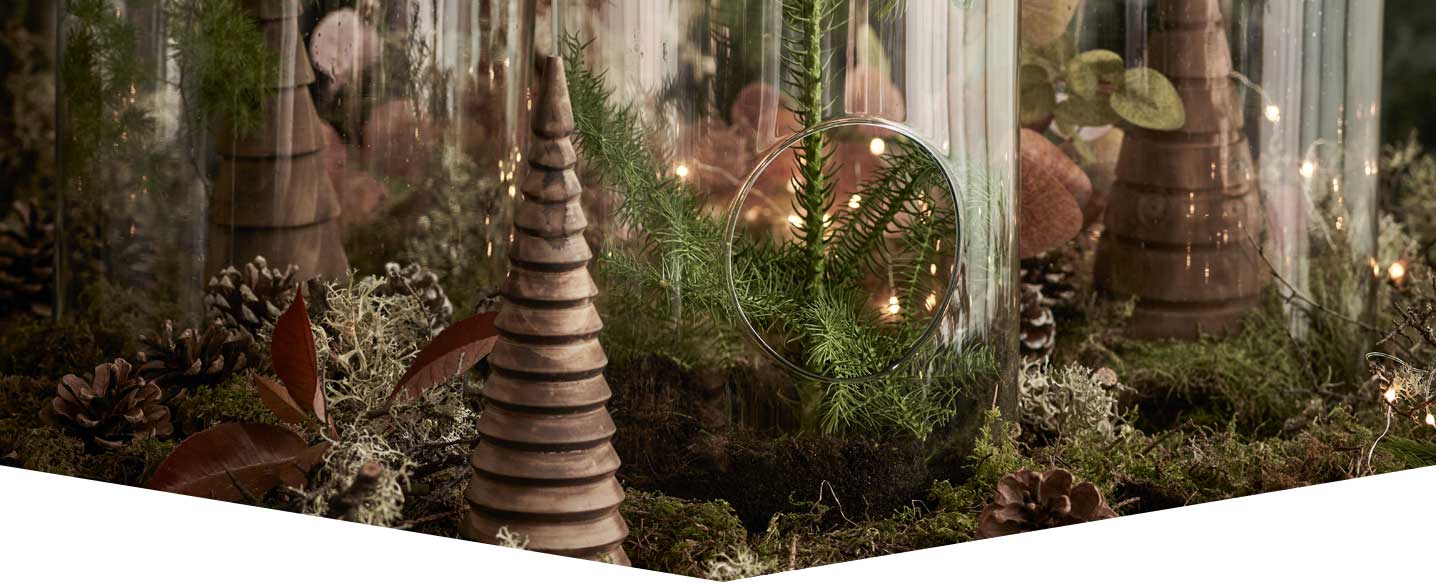 Nordic-Terrarium-header.jpg