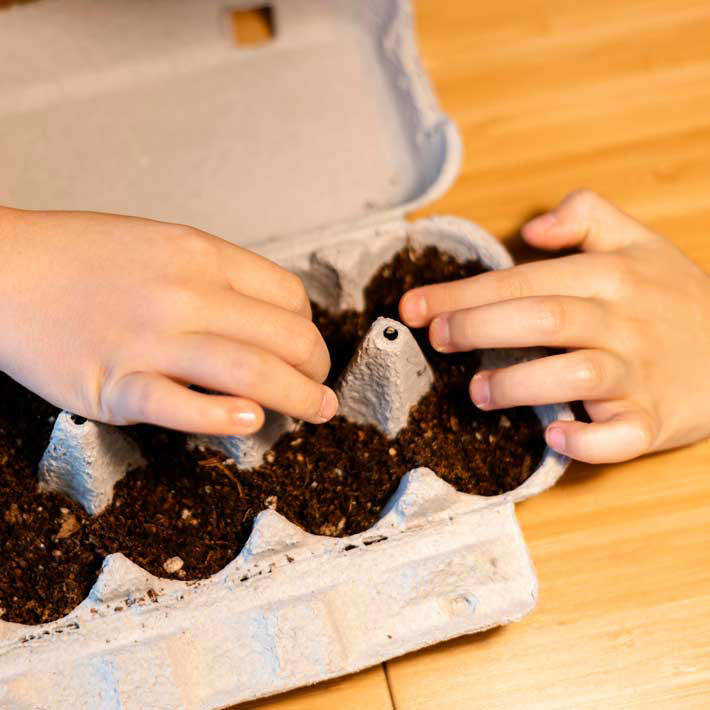 children-planting-seeds-710x710.jpg