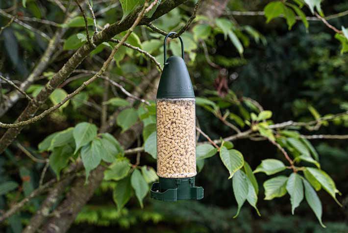 Bird-feeders 710x475.jpg