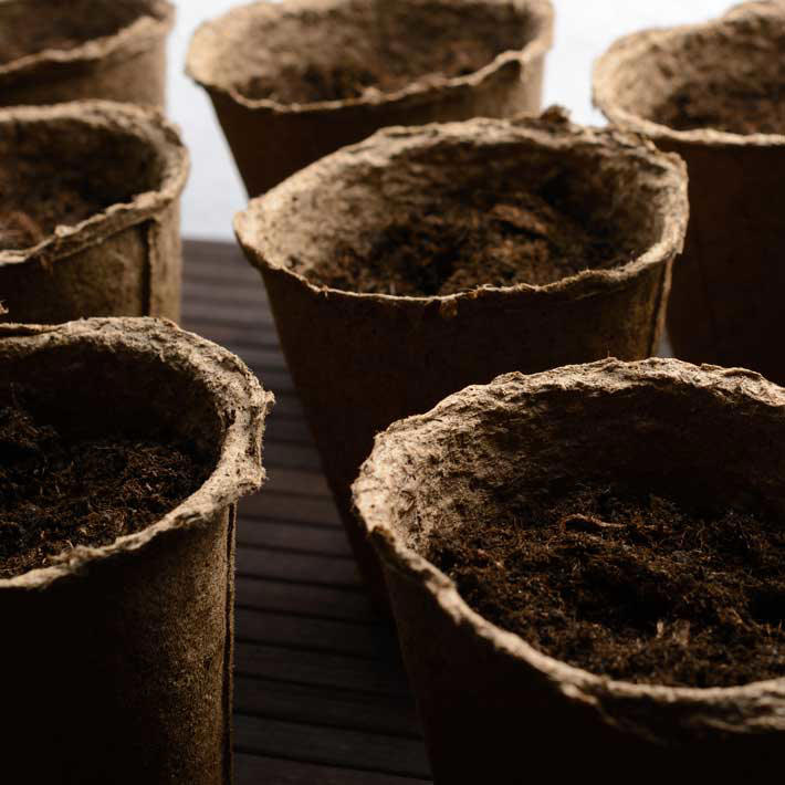 peat-pots-with-soil-710x710.jpg