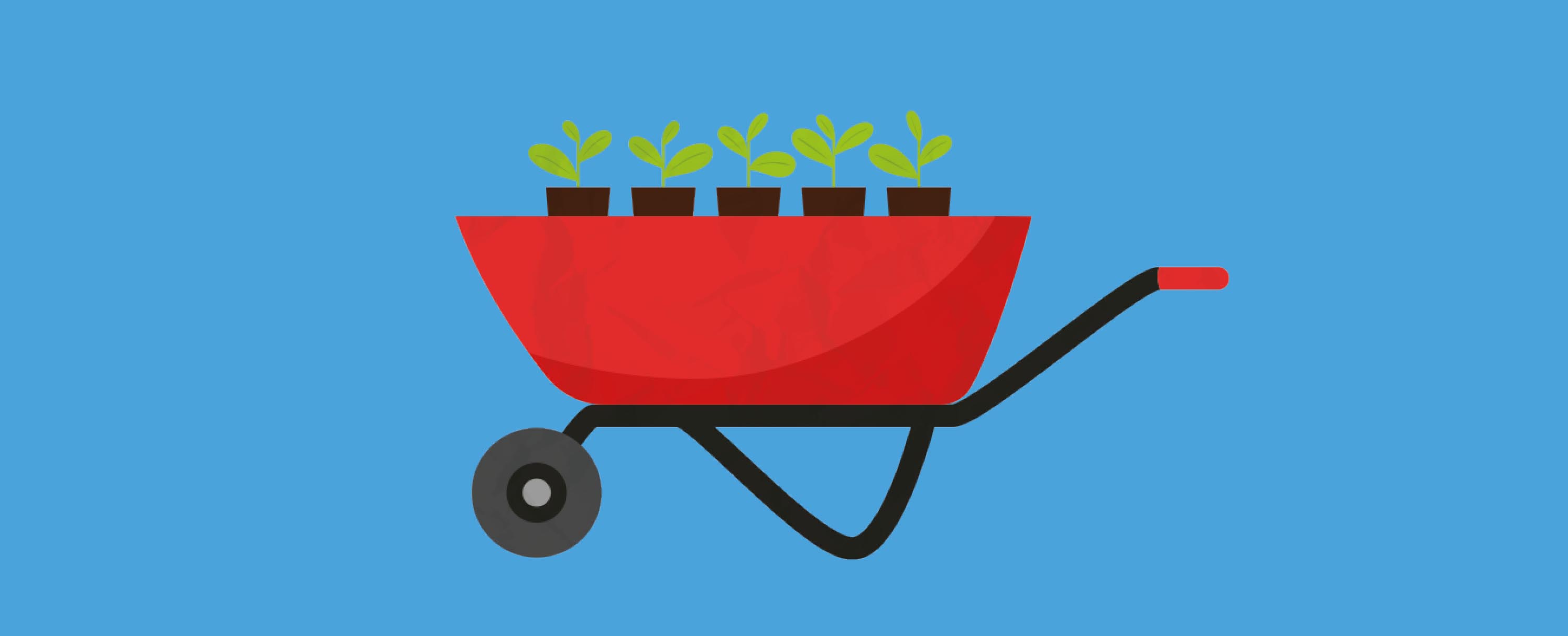 LSC_11927_Little Seedling Banners GArden Fun.jpg