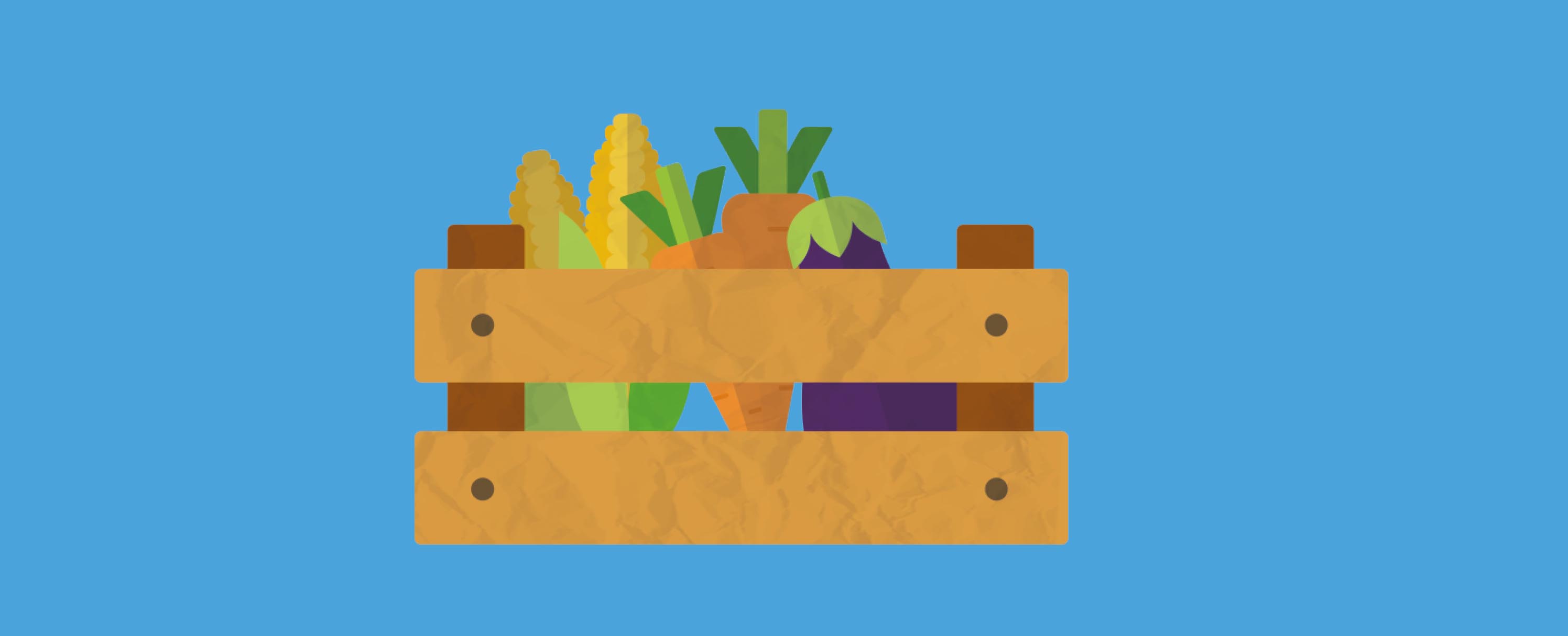 LSC_11927_Little Seedling Banners GYO.jpg