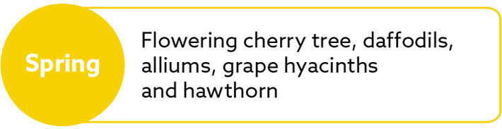 Flowers that are the bees-knees