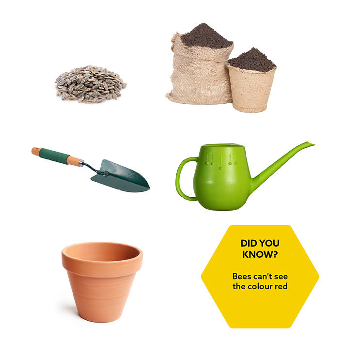 Flowers that are the bees-knees