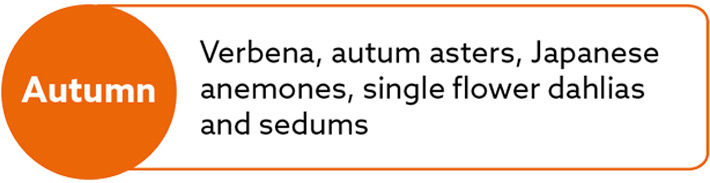 Flowers that are the bees-knees