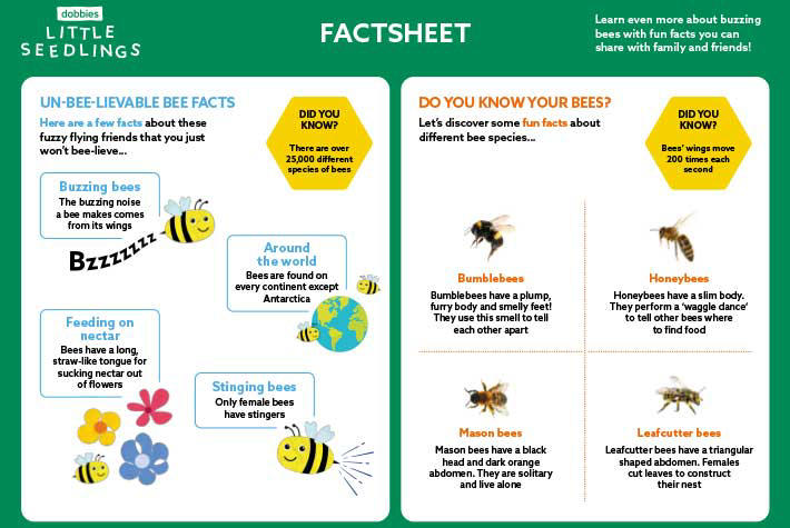 Bee Factsheet