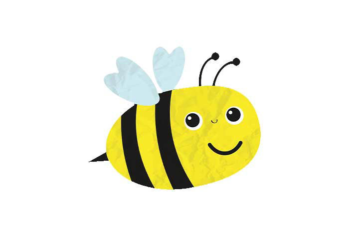 Creating a Bee Friendly Garden