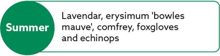 Flowers that are the bees-knees