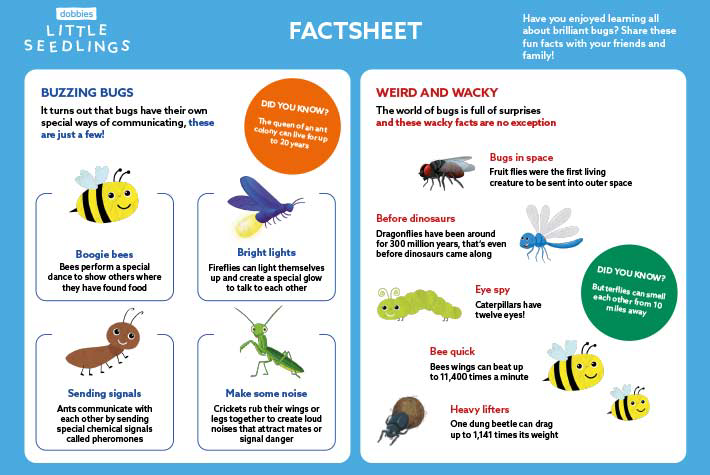 bug-factsheet.png