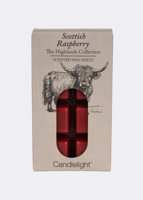 A photo of Pack of 8 Scottish Raspberry Wax Melts