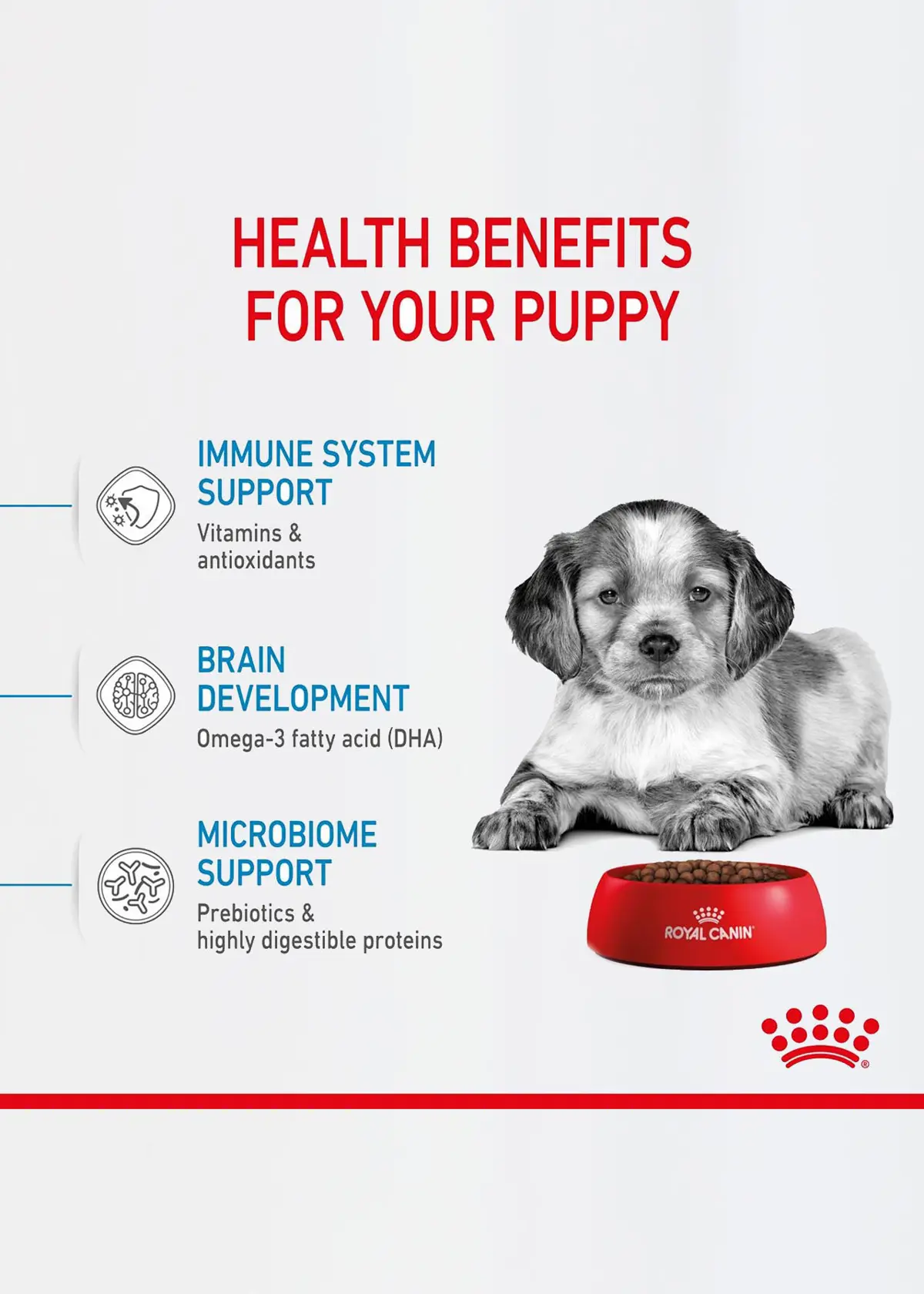 Royal Canin Dry Maxi Puppy Food 4kg