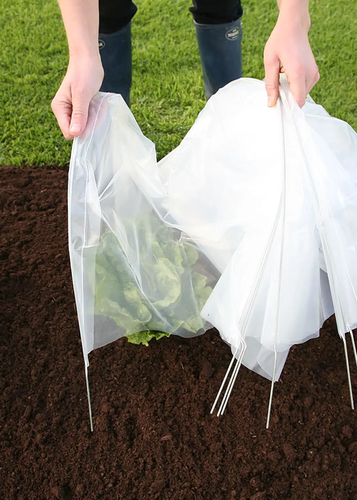 A photo of Standard Easy PolyTunnel