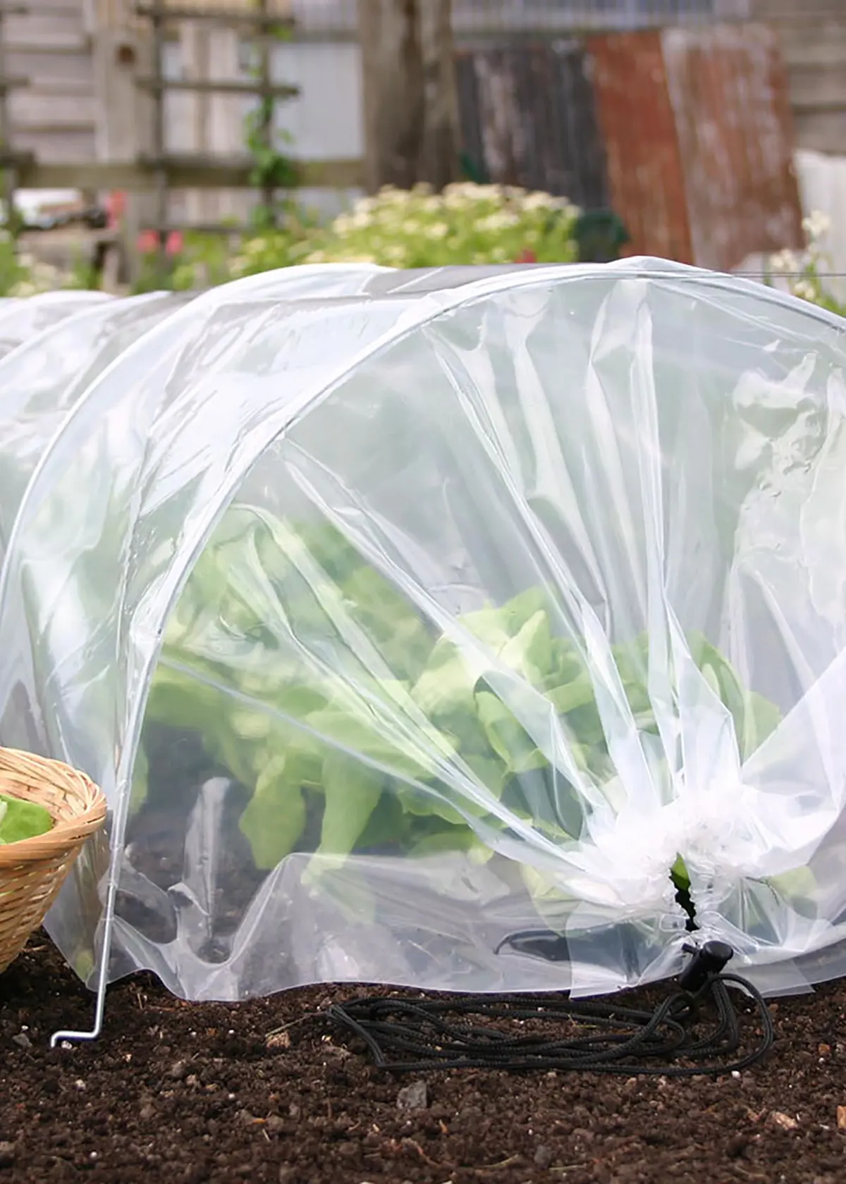 A photo of Standard Easy PolyTunnel