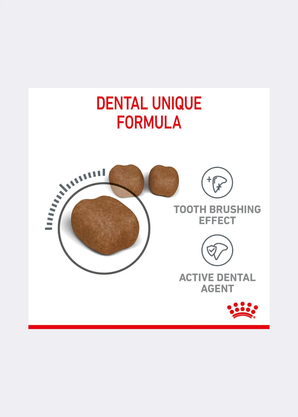A photo of Royal Canin® Feline Dental Care Dry Cat Food 1.5kg