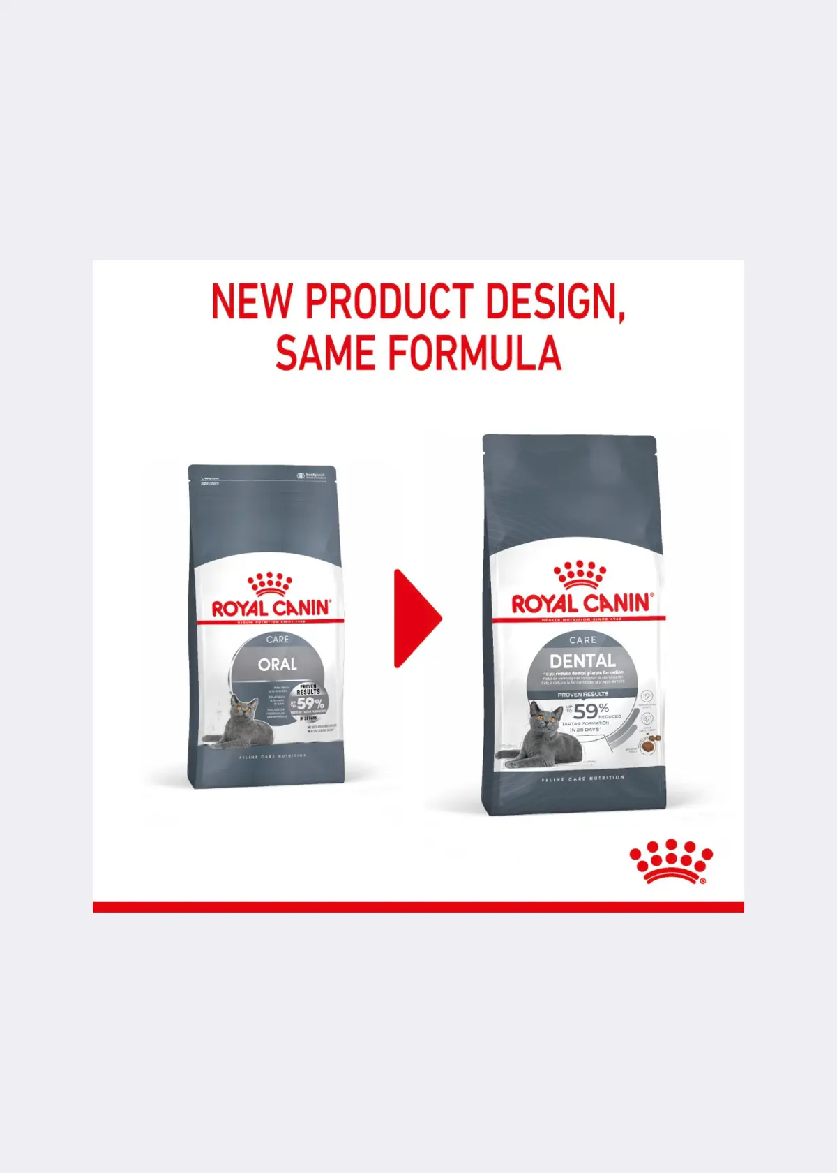 A photo of Royal Canin® Feline Dental Care Dry Cat Food 1.5kg
