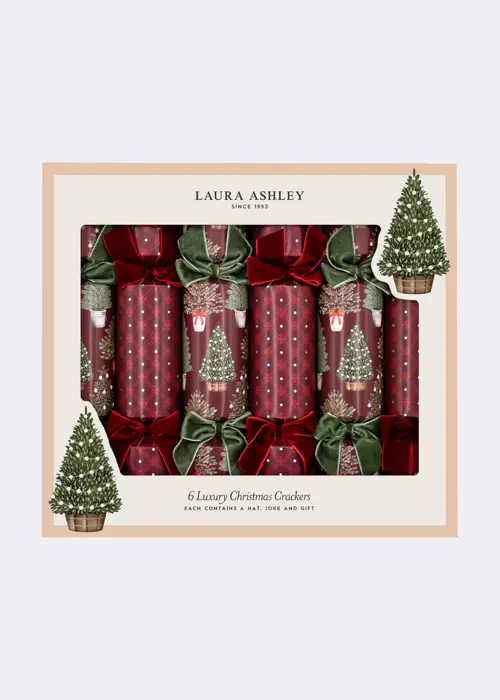 A photo of Pack of 6 Laura Ashley Festive Trees Luxury Christmas Cracke