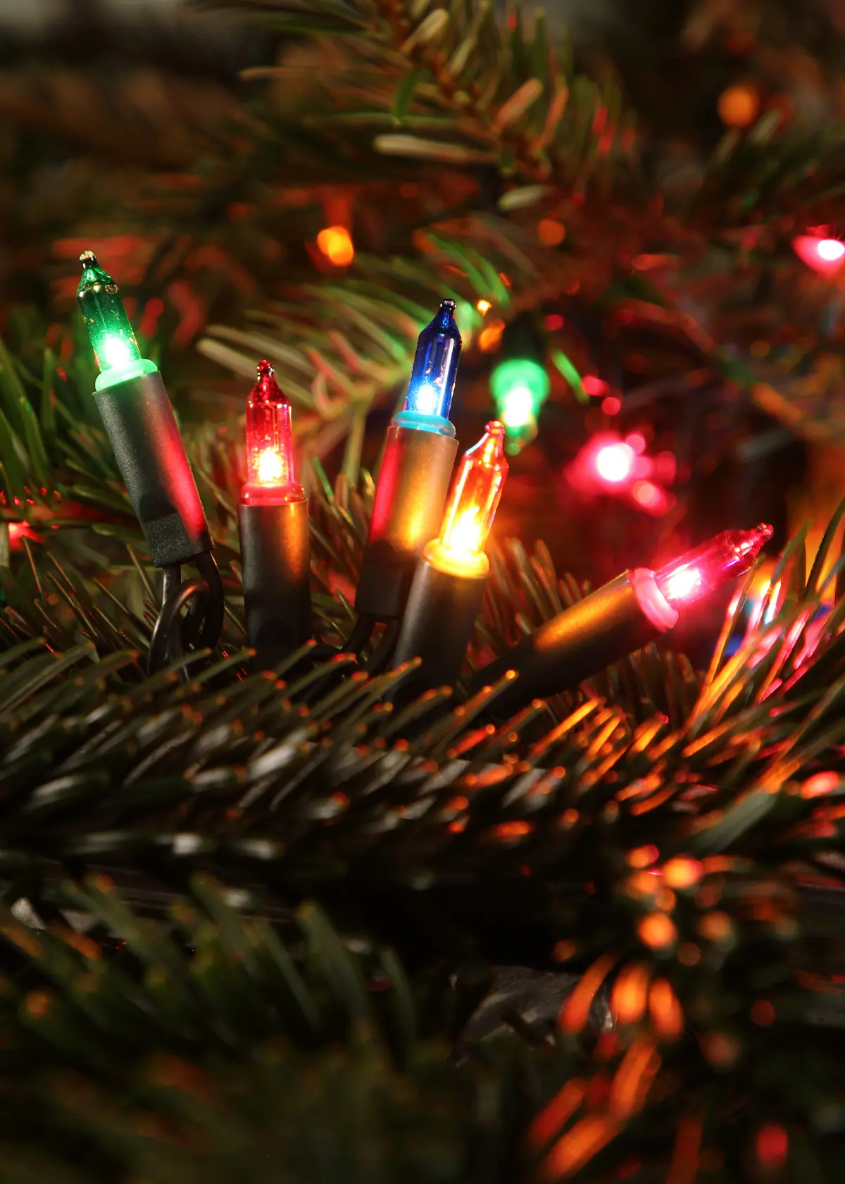 A photo of 240 Multi-Colour LED Classic String Lights