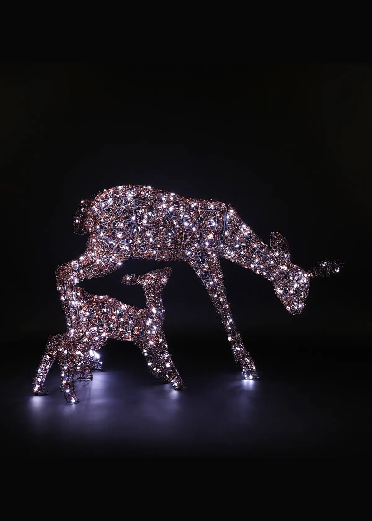 A photo of 70cm Copper Acrylic Duo LED Woburn Deer & Fawn Light
