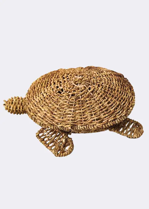 A photo of Seagrass Turtle Storage Basket