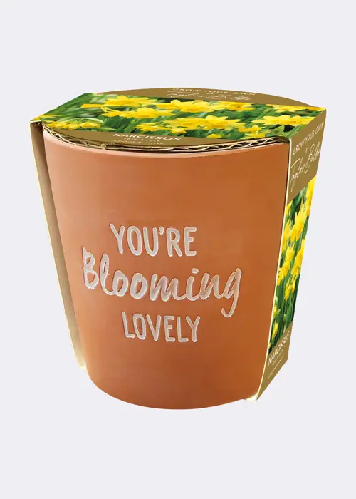 A photo of Blooming Lovely Terracotta Pot