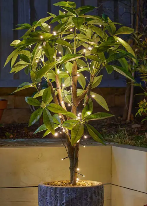200 Warm White Solar LED String Lights