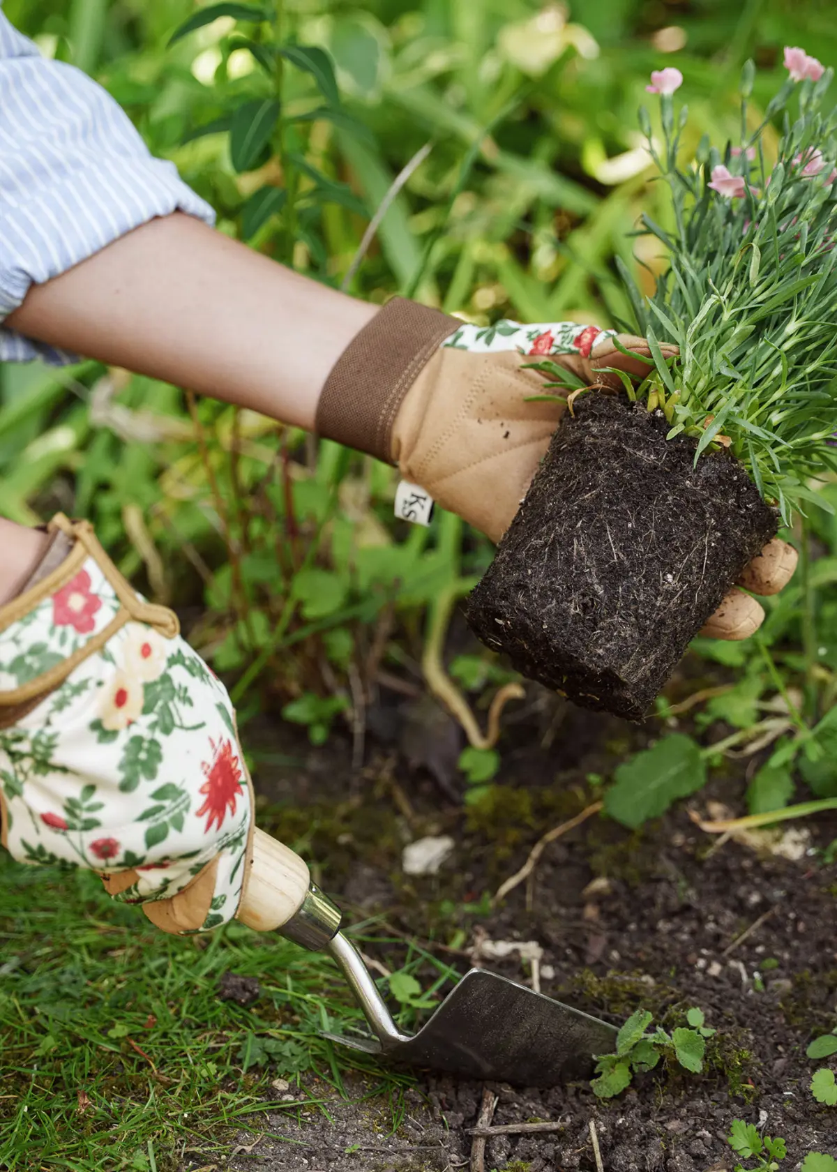 A photo of Kent & Stowe Comfort Gardening Gloves Small Cottage Garden