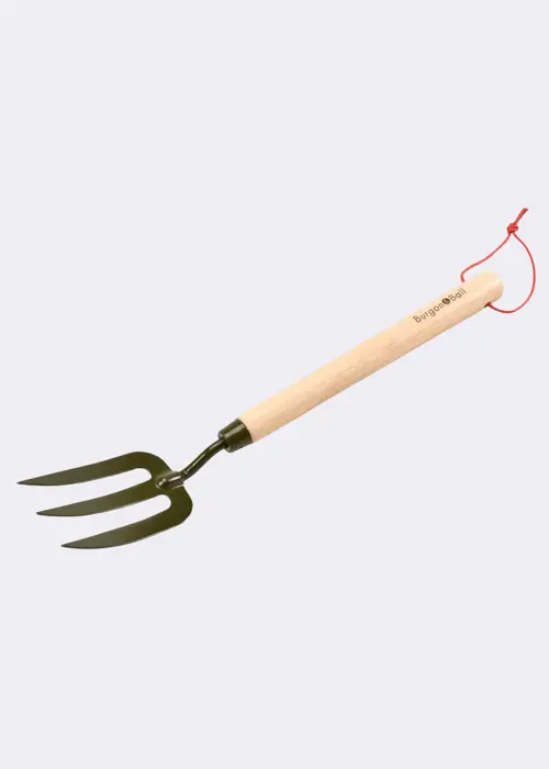 A photo of Burgon & Ball BoronGreen Mid Handled Fork