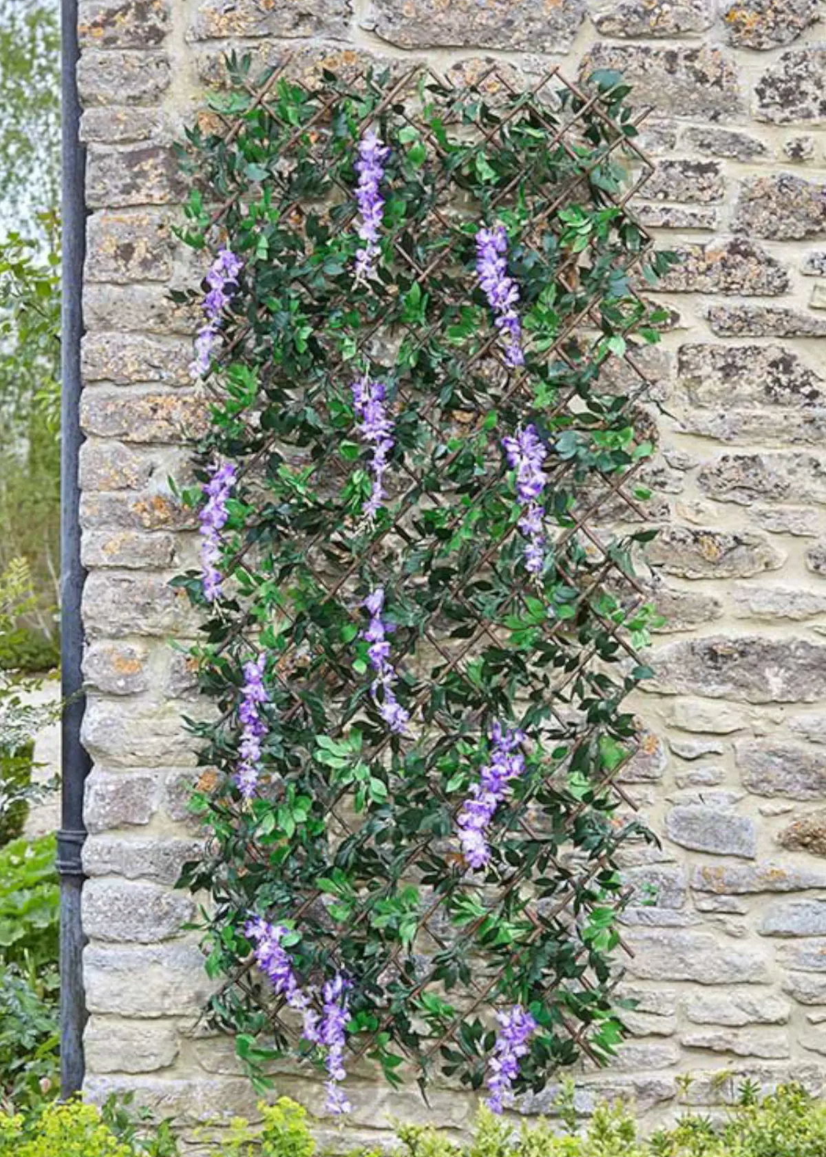 A photo of Artificial Wisteria Trellis 180x90 cm